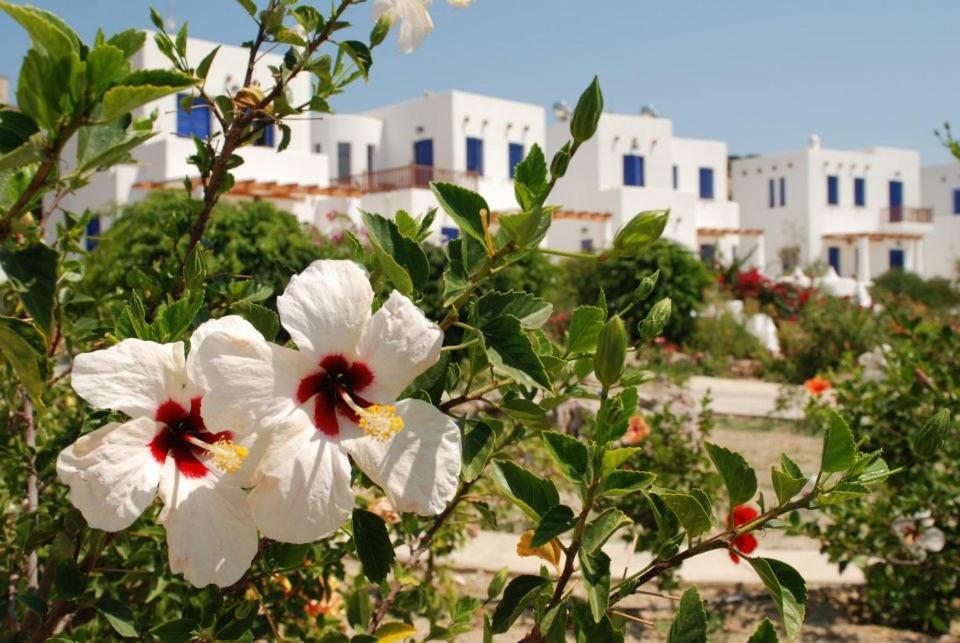 Niriedes Villas Lipsi Exterior photo
